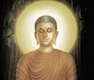 buddha daily wisdom image